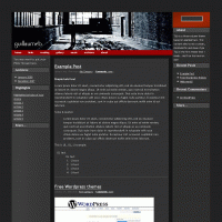 download wordpress theme now!