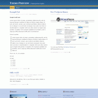 download wordpress theme now!