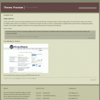 download wordpress theme now!