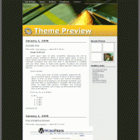 download wordpress theme now!