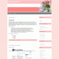 download wordpress theme now!