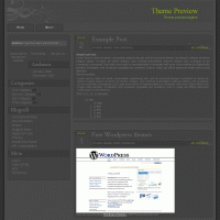 download wordpress theme now!