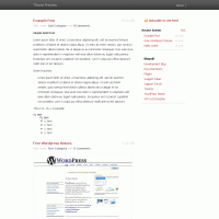 download wordpress theme now!