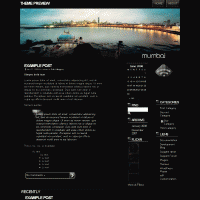 download wordpress theme now!