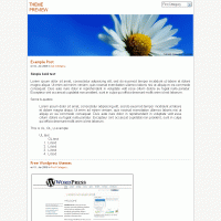 download wordpress theme now!